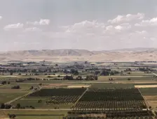 Cherry orchards, farm lands and irrigation ditch at Emmett, Idaho, 1941. Creator: Russell Lee