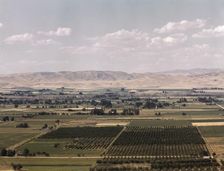Cherry orchards, farm lands and irrigation ditch at Emmett, Idaho, 1941. Creator: Russell Lee
