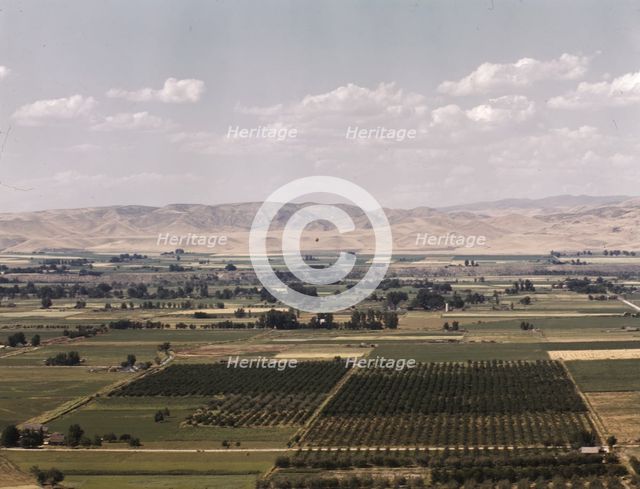 Cherry orchards, farm lands and irrigation ditch at Emmett, Idaho, 1941. Creator: Russell Lee.