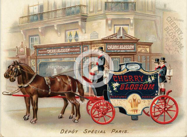 Cherry Blossom, 19th century. Artist: Unknown