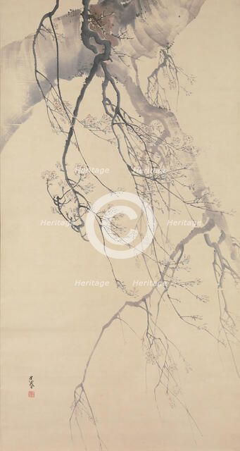 Cherry Blossoms, 18th century. Creator: Go Shun.