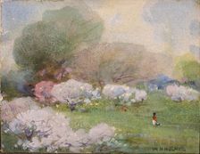 Cherry Blossoms, n.d. Creator: William Henry Holmes