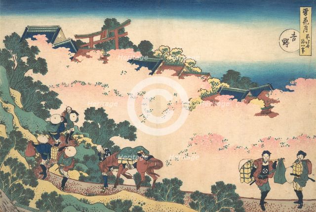 Cherry Blossoms at Yoshino (Yoshino), from the series Snow, Moon, and Flowers (Setsuge..., ca. 1833. Creator: Hokusai.