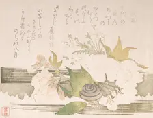 Cherry Blossoms and a Snail, 1816. Creator: Unknown