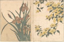 Cherry Blossoms and Irises, from the illustrated book Flowers of the Four Seasons, 1801. Creator: Kitagawa Utamaro
