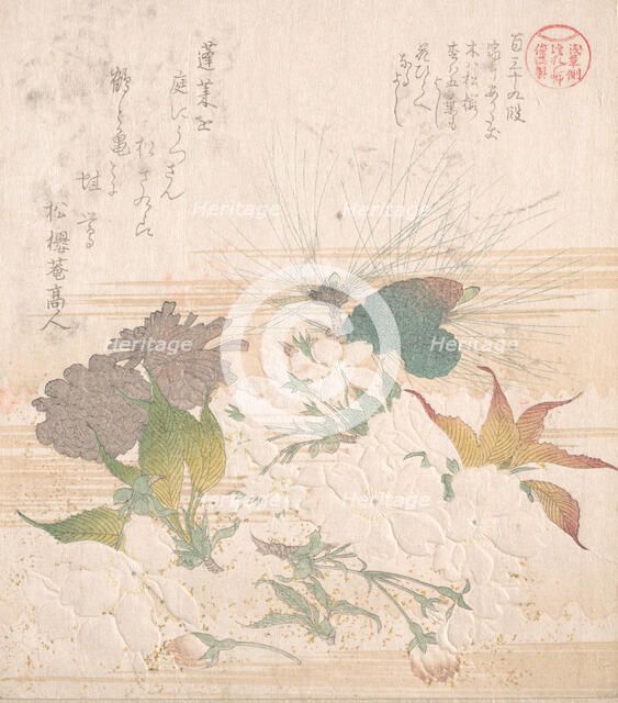 Cherry Blossoms and Pine Cones, 19th century. Creator: Kubo Shunman.