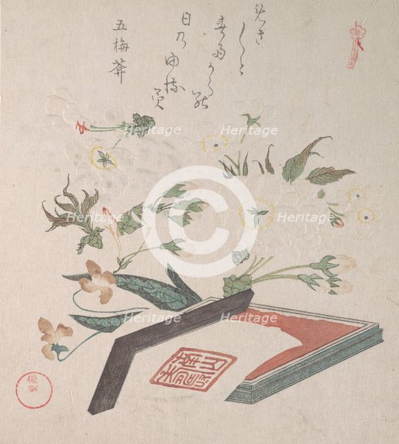 Cherry Blossoms and Seal-box with Ink and Ruler, 19th century. Creator: Kubo Shunman.