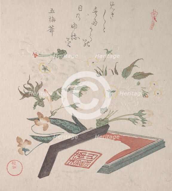 Cherry Blossoms and Seal-box with Ink and Ruler, 19th century. Creator: Kubo Shunman.