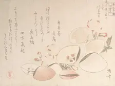 Cherry Blossoms and Shells, 19th century., 19th century. Creator: Shinsai