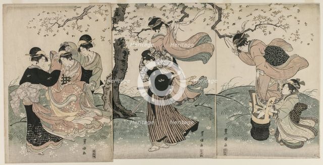 Cherry Blossoms in the Wind, late 1790s. Creator: Utagawa Toyokuni (Japanese, 1769-1825).