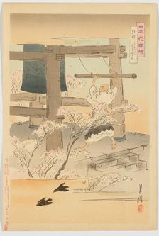 Cherry Blossoms in the Morning, from the series "Pictures of the Flowers of Japan" (Nihon... 1898. Creator: Ogata Gekko