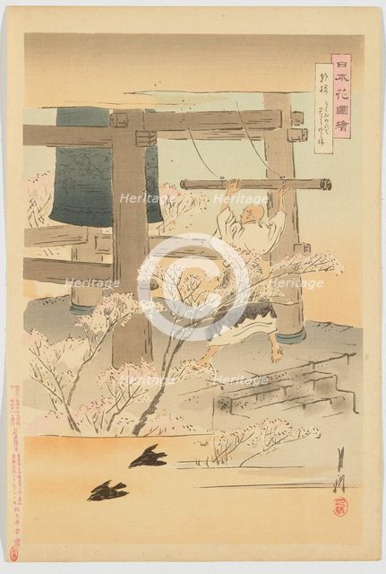 Cherry Blossoms in the Morning, from the series "Pictures of the Flowers of Japan" (Nihon... 1898. Creator: Ogata Gekko.