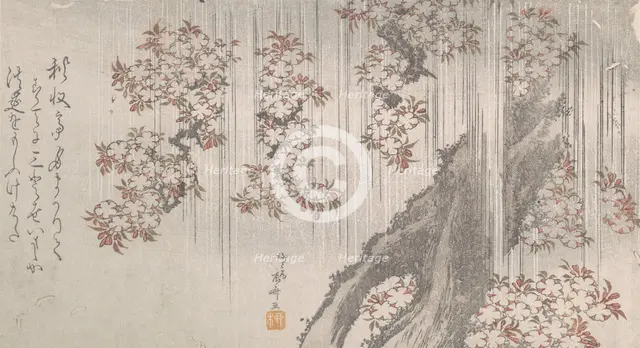 Cherry Blossoms in the Rain, 19th century., 19th century. Creator: Shinsai.