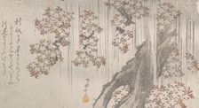 Cherry Blossoms in the Rain, 19th century., 19th century. Creator: Shinsai