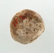 Cherry Stone from a Tomb, Frankish, 500-600. Creator: Unknown