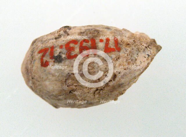 Cherry Stone from a Tomb, Frankish, 500-600. Creator: Unknown.