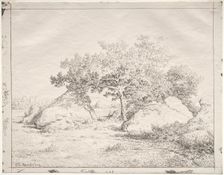 Cherry Tree at Blau. Creator: Théodore Rousseau (French, 1812-1867)