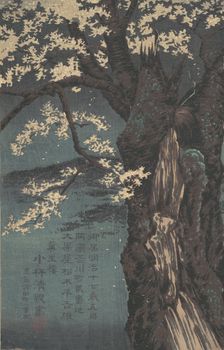 Cherry Tree, dated 1874. Creator: Kobayashi Kiyochika