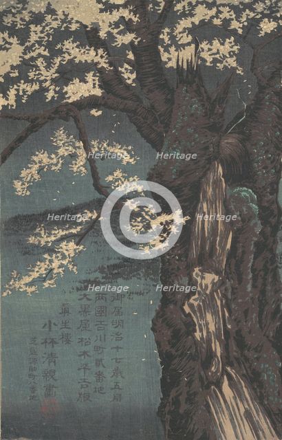 Cherry Tree, dated 1874. Creator: Kobayashi Kiyochika.