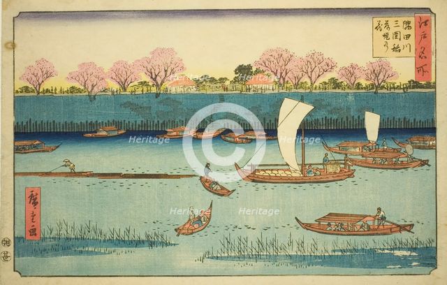 Cherry Trees along the Sumida River Embankment at the Mimeguri Inari Shrine..., c. 1840/58. Creator: Ando Hiroshige.