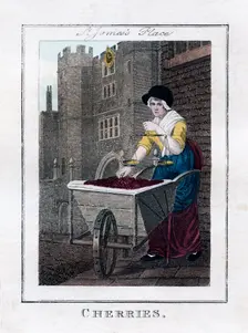 Cherries St James's Palace, London, 1805