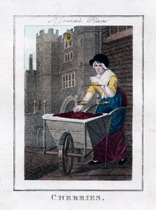 Cherries St James's Palace, London, 1805