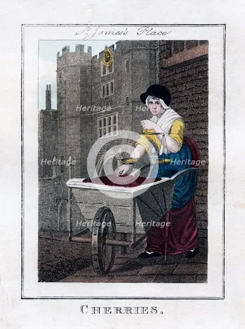 'Cherries', St James's Palace, London, 1805. Artist: Unknown