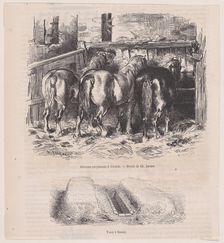 Chevaux percherons à l'écurie; Fosse à fumier; from Magasin Pittoresque, ca. 1852., ca. 1852. Creator: Charles Emile Jacque