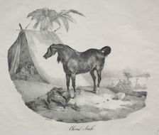 Cheval Arabe. Creator: Théodore Géricault (French, 1791-1824)