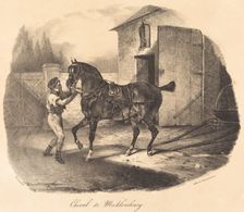 Cheval de Mecklembourg, 1822. Creator: Theodore Gericault