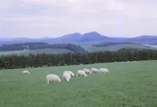 Cheviots, South of Jedburgh, Scotland, 20th century. Artist: CM Dixon