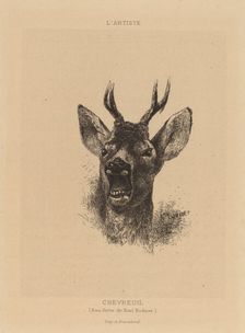 Chevreuil. Creator: Karl Bodmer
