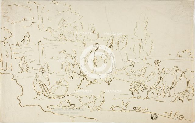 Chickens and Roosters in Yard, n.d. Creator: Unknown.