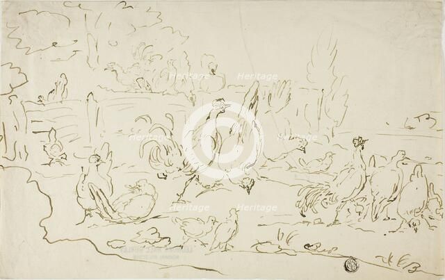 Chickens and Roosters in Yard, n.d. Creator: Unknown.