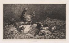 Chickens (Poutes), 1867. Creator: Charles-Émile Jacque (French, 1813-1894)