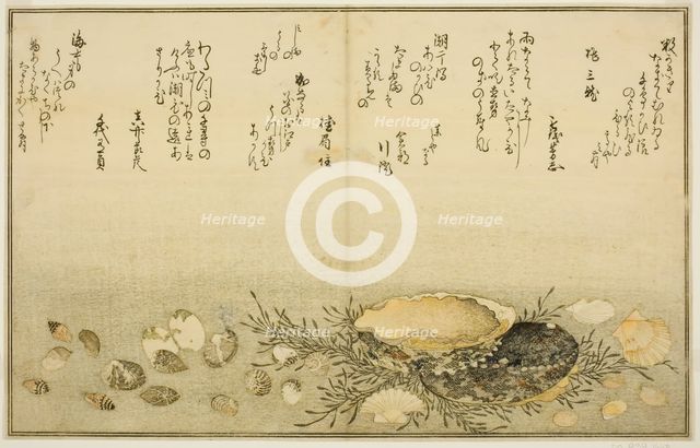 Chidori-gai, itaya-gai, awabi, utsuse-gai, asari-gai, and monoara-gai, from the illustrated...,1789. Creator: Kitagawa Utamaro.