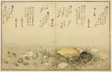 Chidori-gai, itaya-gai, awabi, utsuse-gai, asari-gai, and monoara-gai, from the illustrated...,1789. Creator: Kitagawa Utamaro