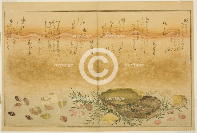 Chidori-gai, itaya-gai, awabi, utsuse-gai, asari-gai, and monoara-gai, from the illustrated...,1789. Creator: Kitagawa Utamaro.