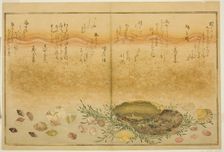 Chidori-gai, itaya-gai, awabi, utsuse-gai, asari-gai, and monoara-gai, from the illustrated...,1789. Creator: Kitagawa Utamaro