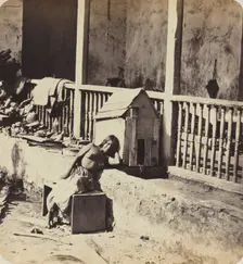 Chien de Garvel (Martinique), 1870s. Creator: Paul Emile Miot