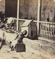 Chien de Garvel (Martinique), 1870s. Creator: Paul Emile Miot