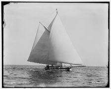 Chieftain, between 1880 and 1899. Creator: Unknown