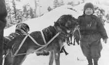 Child and dogs, between c1900 and c1930. Creator: Unknown