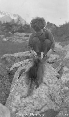 Child and porcupine, between c1900 and c1930. Creator: Unknown