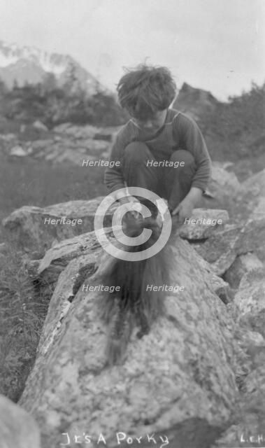 Child and porcupine, between c1900 and c1930. Creator: Unknown.