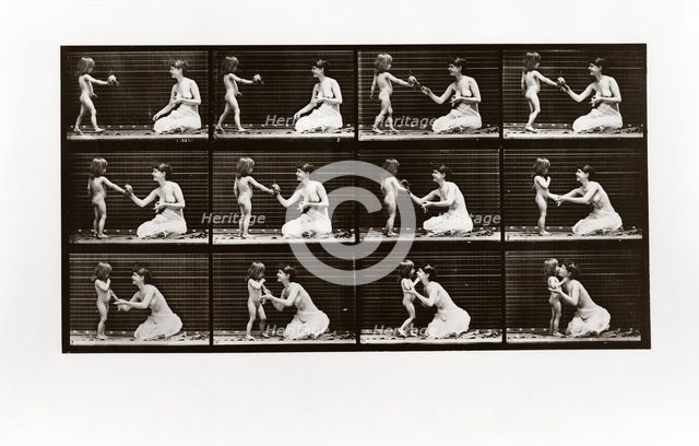 Child bringing bouquet to a woman, Plate 465 from Animal Locomotion, 1887 (photograph)
