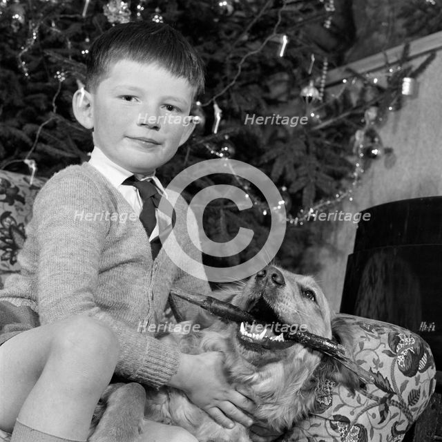Child, dog and Christmas tree, December 1960. Artist: John Gay