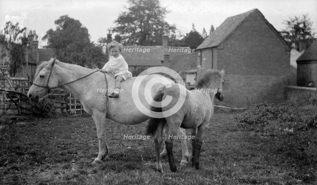 Child, horse and pony, Snitterfield, Warwickshire, c1896-c1920. Artist: Alfred Newton & Sons