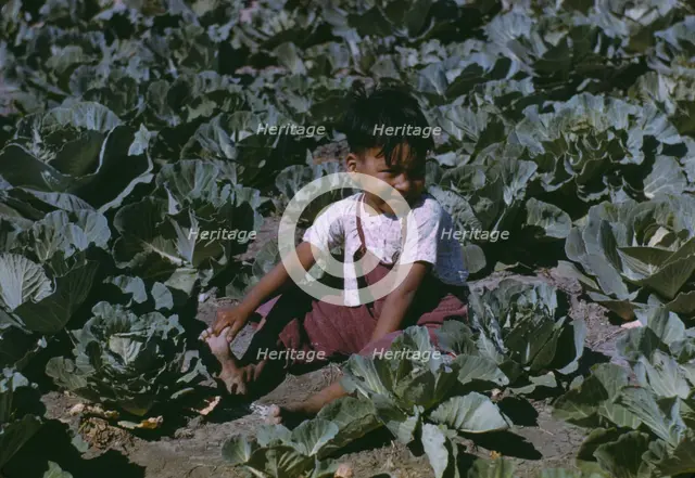 Child of a migratory farm laborer in the field during the harvest..., FSA labor camp, Tex., 1942. Creator: Arthur Rothstein.