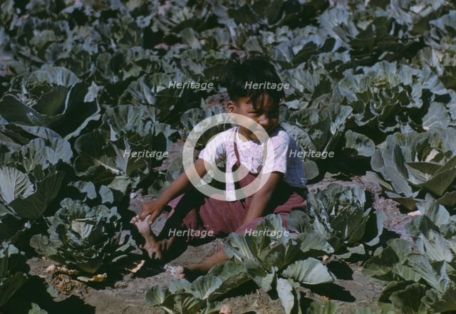 Child of a migratory farm laborer in the field during the harvest..., FSA labor camp, Tex., 1942. Creator: Arthur Rothstein.
